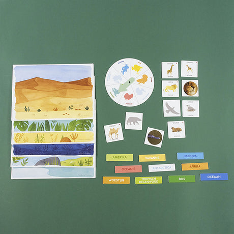 Uczę się gry edukacyjnej Jumbo Discover Animals