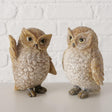 Figurka Boltze Home sowa blanet 9,5x8x12,5 2 różne kolory