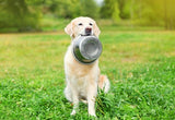 Miska na karmę ze stali nierdzewnej Happy Pet