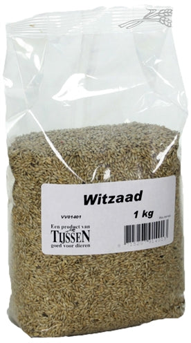 Biały nasiona
