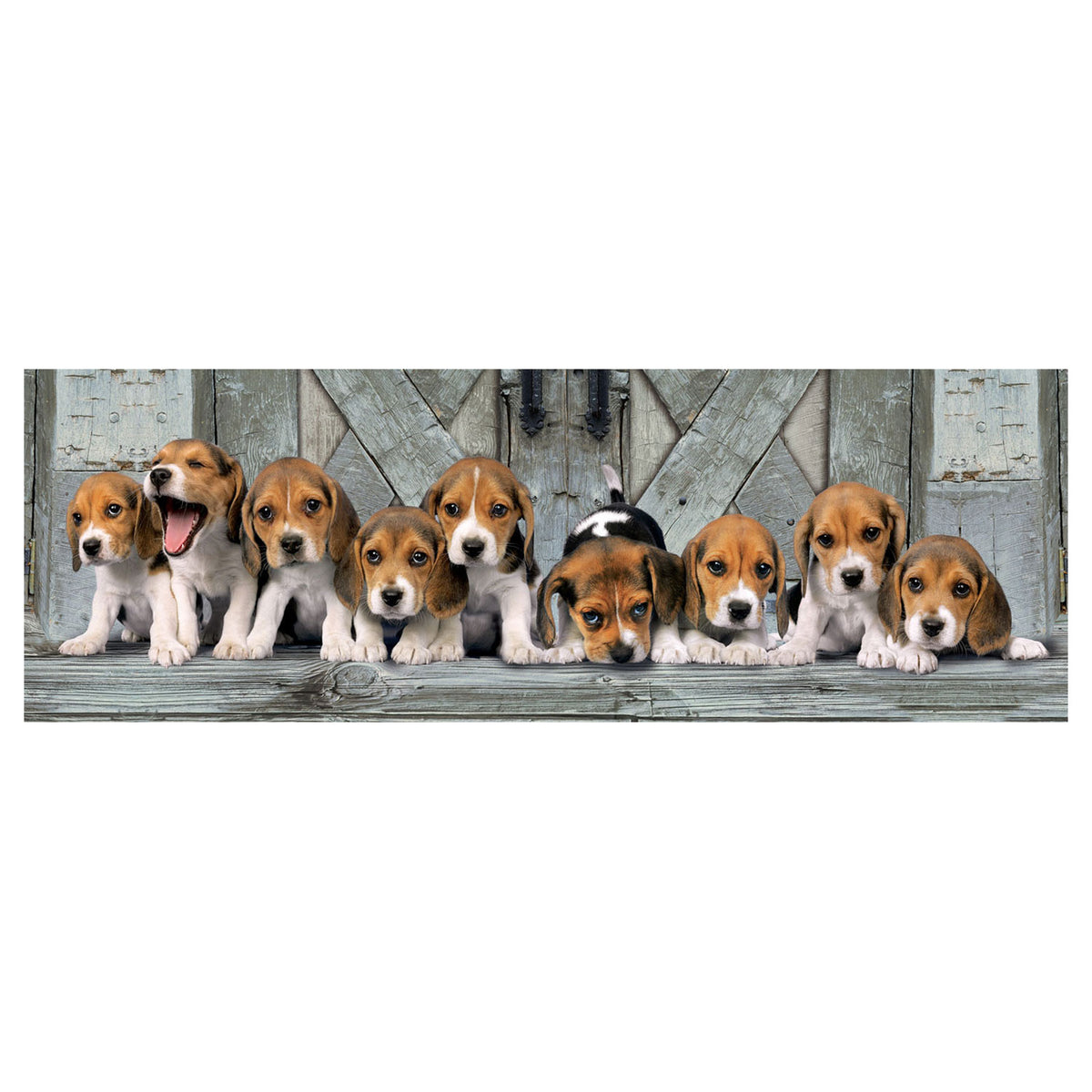 Clementoni Panorama Puzzle Beagle, 1000st.