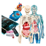 Gra naukowa Clementoni - super anatomia - ciało ludzkie - zabawki edukacyjne - od 8 lat