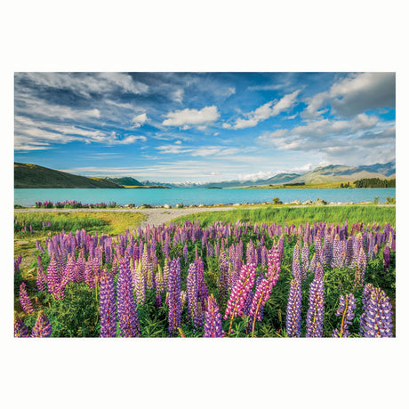 Puzzle Clementoni Kwiaty nad jeziorem Tekapo, 1500 szt.