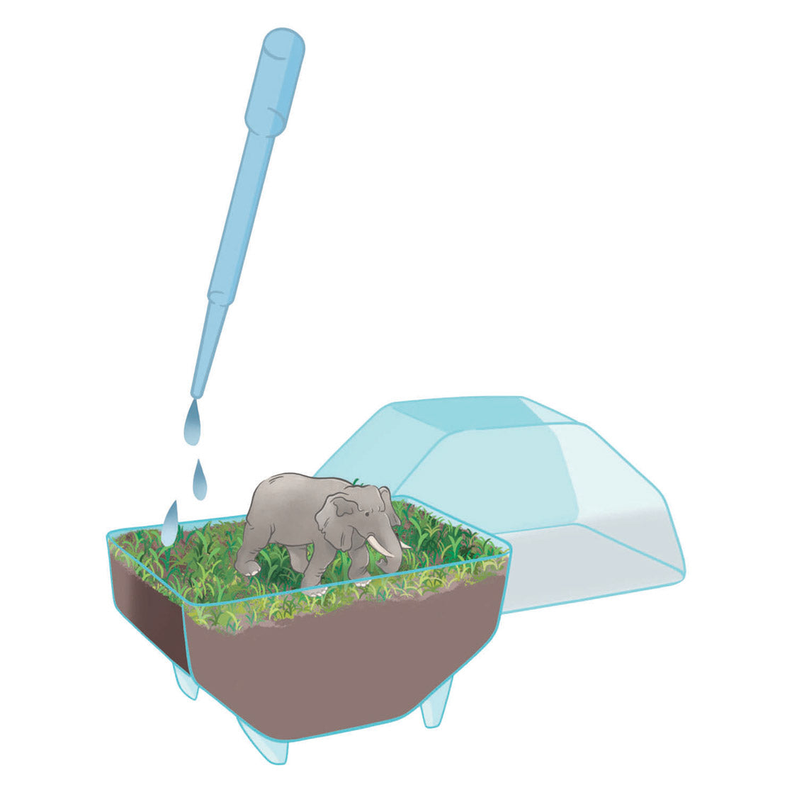 Gra naukowa Clementoni Moje dzikie terrarium - słoń