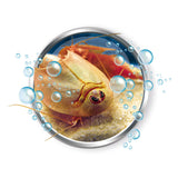 Clementoni triops acquarium (f)