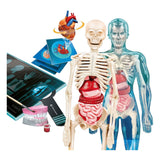 Nauka i gra Clementoni - super anatomia