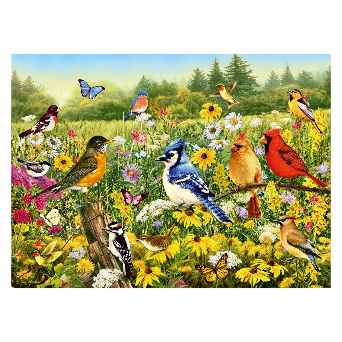Ptaki Ravensburger w łamigłówkach nóg łąki, 500st.