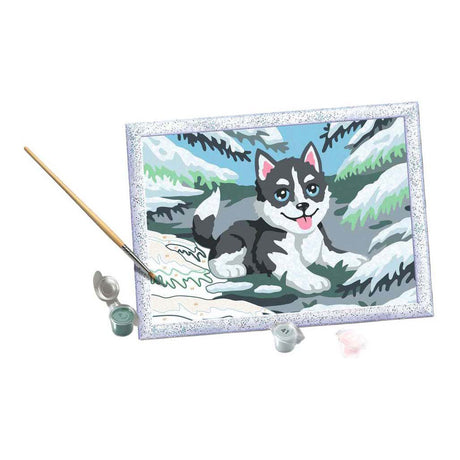 Ravensburger – kreat: bezczelny husky – maluj po numerach
