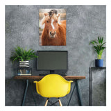 Ravensburger – kucyk i kot – układanka – 500 elementów