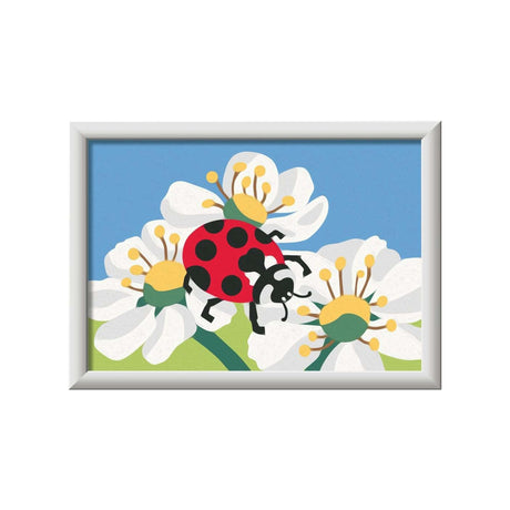 Biedronka Ravensburger