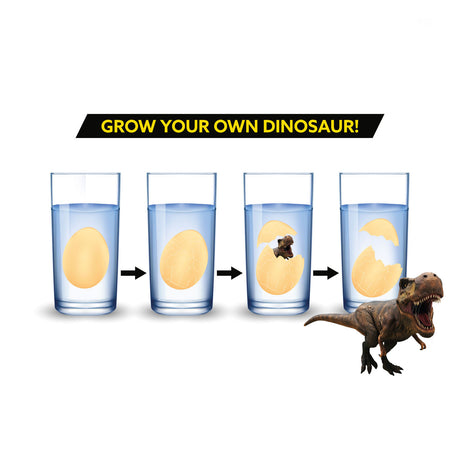 TOI-TOYS Wzrost-jajkowy dinozaura