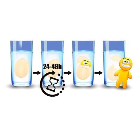 TOI-TYYS Growth-Egg Uśmiech twarz