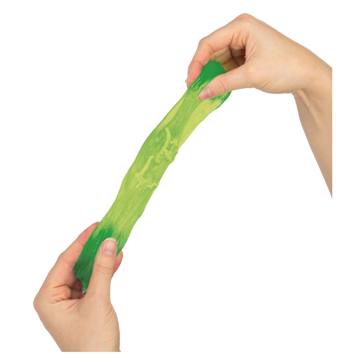 Toi-zabawki świat dinozaurów kit ze szkieletem