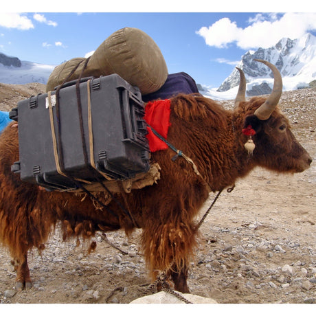 Explorer Cases 5833 Walizka Czarna