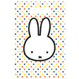 Haza Białobrody Miffy torebki dozujące, 6 szt.