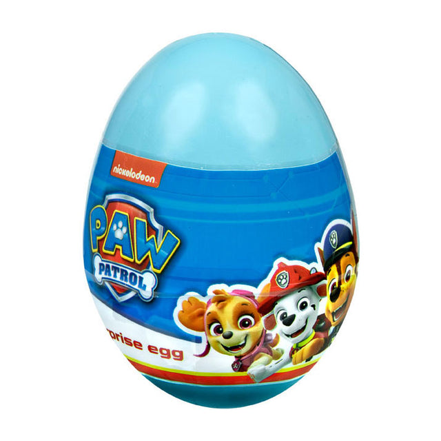 Undercover Surnei Paw Patrol