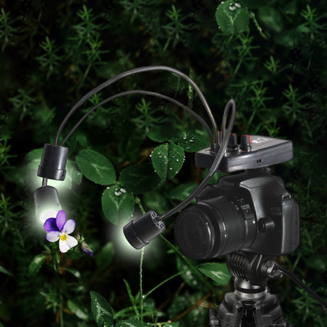 Lampa LED makro Falcon Eyes DV-3B na akumulator