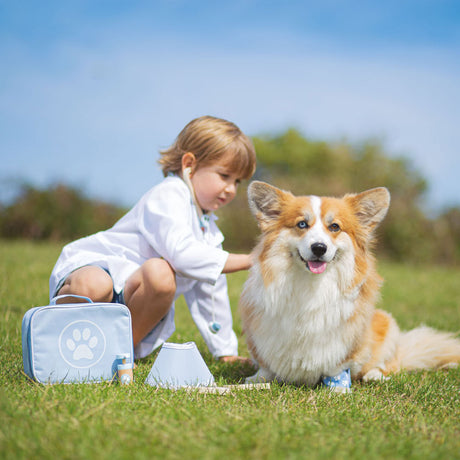 BigJigs Animal Doctor Suipcase