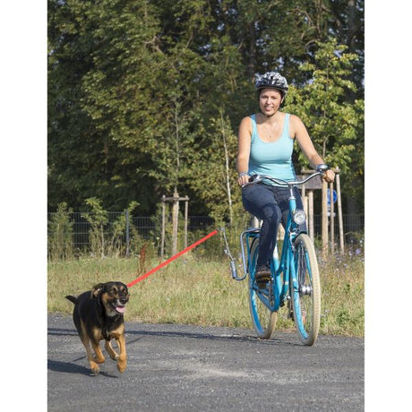 Mosiężny uchwyt rowerowy dla psa typu springer
