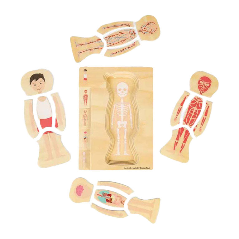 Drewniane puzzle anatomiczne Bigjigs - chłopiec, 26 elementów.