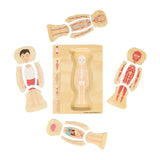 Drewniane puzzle anatomiczne Bigjigs - chłopiec, 26 elementów.