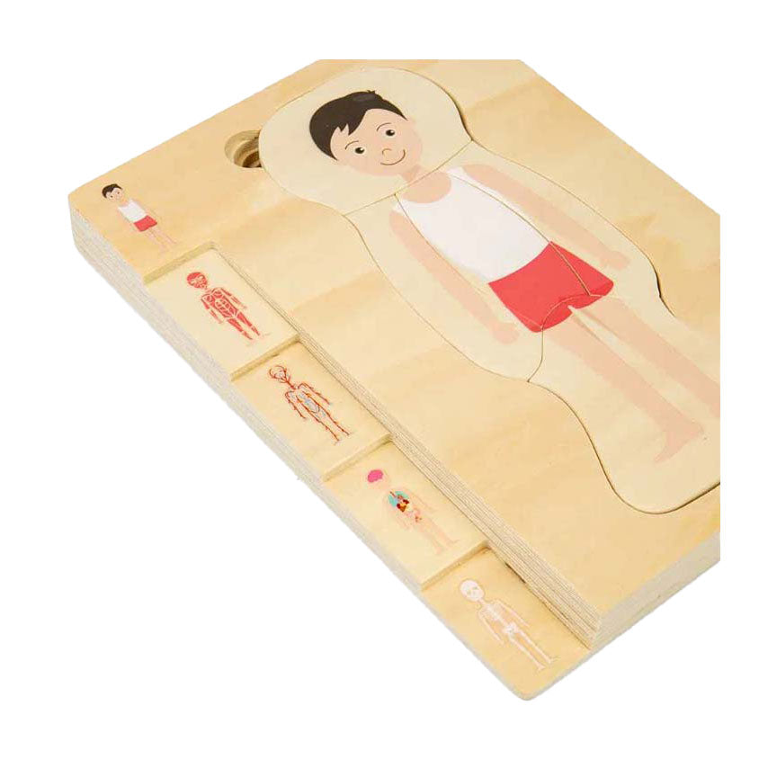 Drewniane puzzle anatomiczne Bigjigs - chłopiec, 26 elementów.
