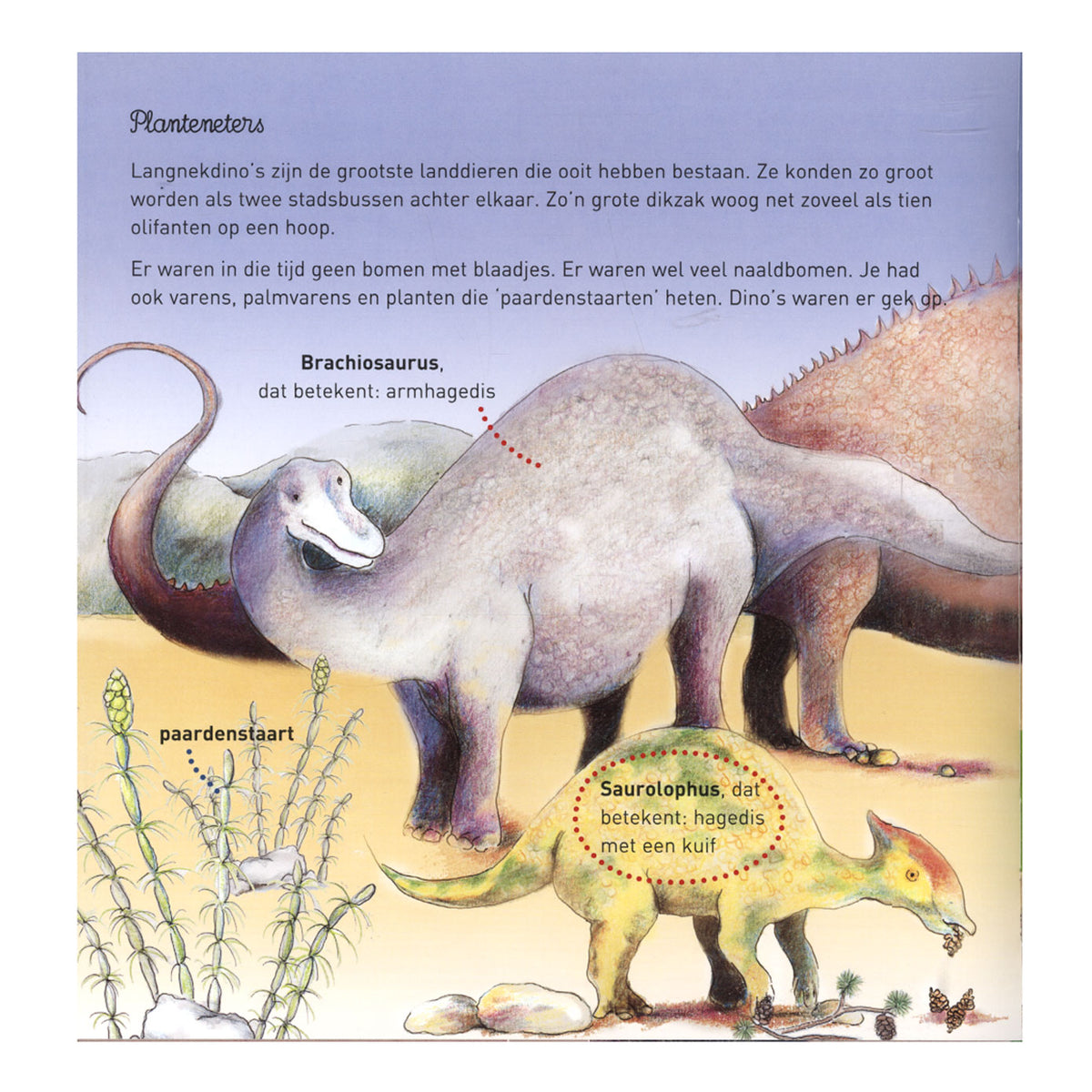 Centralna księgarnia Willewete - Dinozaury