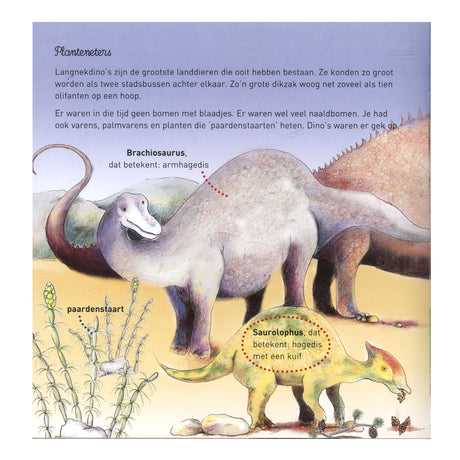 Centralna księgarnia Willewete - Dinozaury