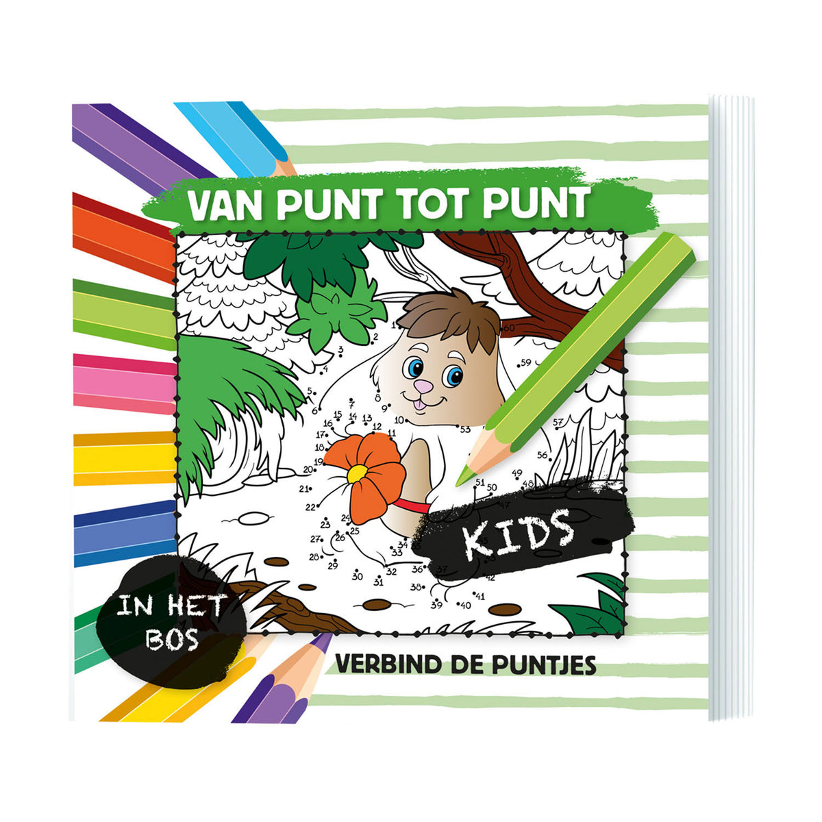 Od punktu do punktu w lesie