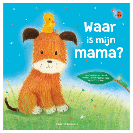 Wydawcy Rebo, gdzie jest moja mama?