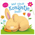 Książka dotykowa wydawnictwa Rebo - co lubi króliczek?
