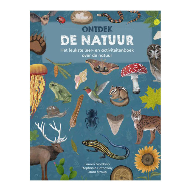 Wydawcy Rebo odkrywają naturę