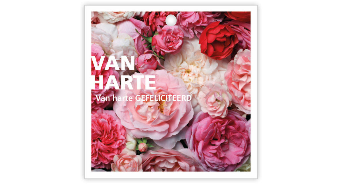 Pakje a 12 kadokaartjes basics van harte gefeliciteerd 781