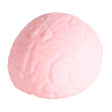 Jumbo squeeze grote hersenen - 16cm