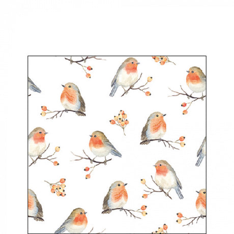 Serwetki Ambiente rodzina Robin 33cm