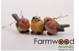 Farmwood animals hanger vogel polystone 5,6x3x4cm