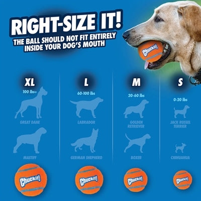 Ball tenisowy Chucut