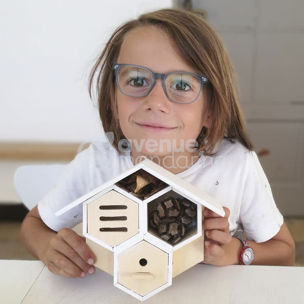 Avenue Mandarin Avenue Mandarin Craft Box Bug House do zbudowania