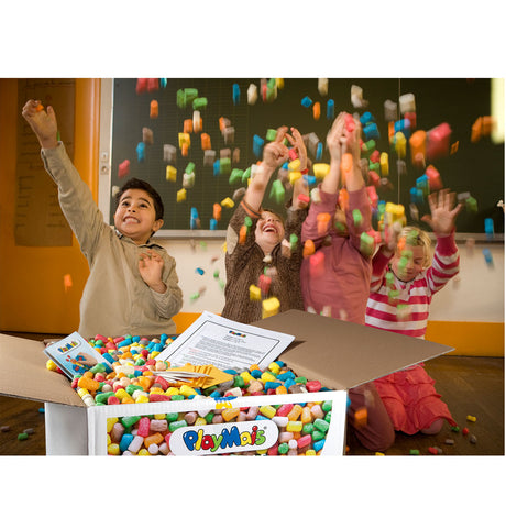 Playmais eduline duży zestaw (> 6300 sztuk)