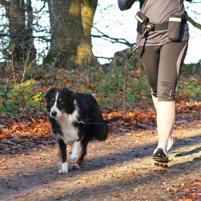 Pas biodrowy Trixie z linką do joggingu w kolorze czarnym