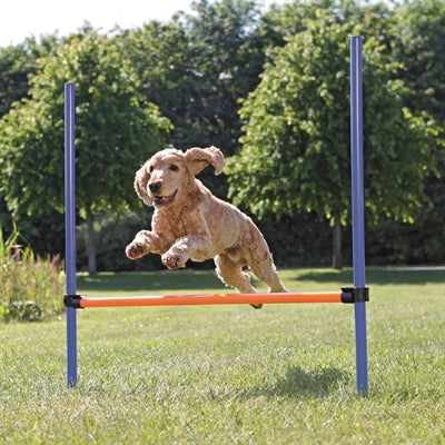 Trixie aktywność psa agility płotki niebiesko-pomarańczowe