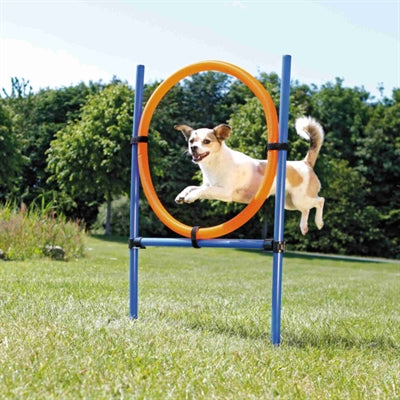 Pierścień agility dla psa Trixie niebiesko-pomarańczowy