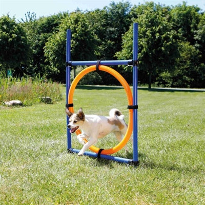 Pierścień agility dla psa Trixie niebiesko-pomarańczowy
