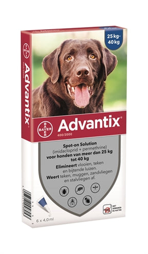 Bayer Advantix miejsce