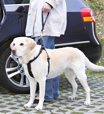 Krótki uchwyt na pasek samochodowy Trixie, uniwersalny, czarny