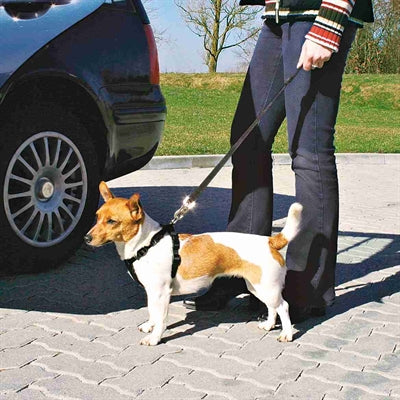 Uprząż samochodowa dla psa Trixie z czarnym paskiem