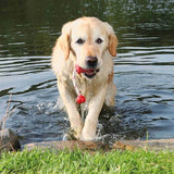 Trixie Dog Activity Fun-Fun Aqua Toy Floating Red Assorti