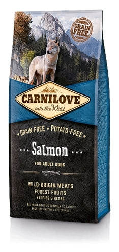 CARNILOVE SOLMON DORODZI