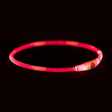 Trixie świecąca obroża Lampa błyskowa USB z możliwością ładowania TPU, czerwona