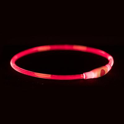 Trixie świecąca obroża Lampa błyskowa USB z możliwością ładowania TPU, czerwona